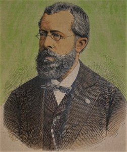 Johannes Fastenrath 1877