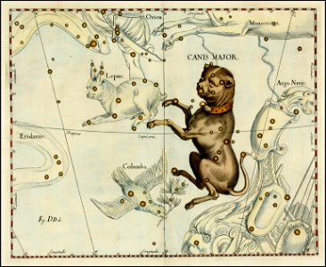 Johannes Hevelius - Canus Major