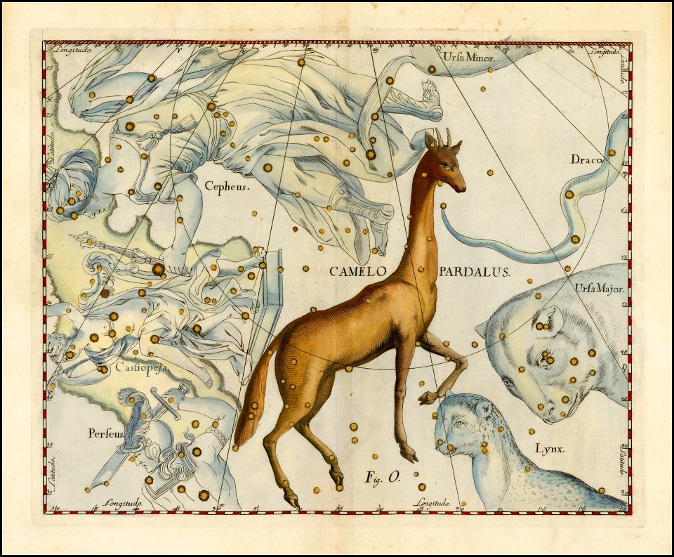 Johannes Hevelius - Camelo Pardalus