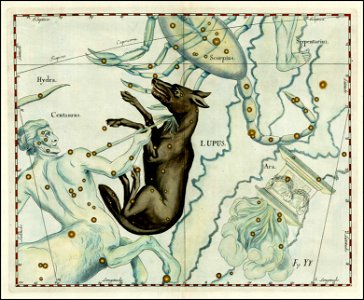 Johannes Hevelius - Lupus