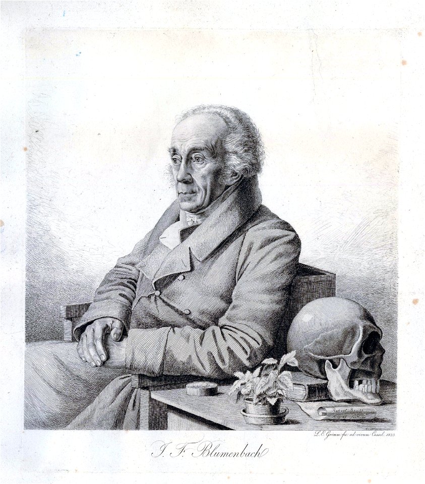 JohannFriedrichBlumenbachLudwigEmilGrimm1823