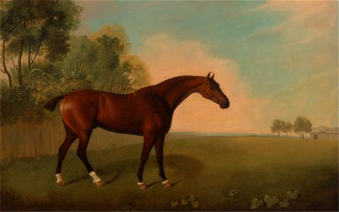 John Boultbee - A Bay Horse in a Field - Google Art Project