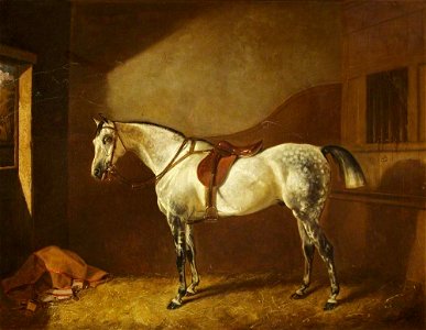John Alfred Wheeler (1821-1903) - Sir Henry Ainslie Hoare's Favourite Hunter - 732370 - National Trust
