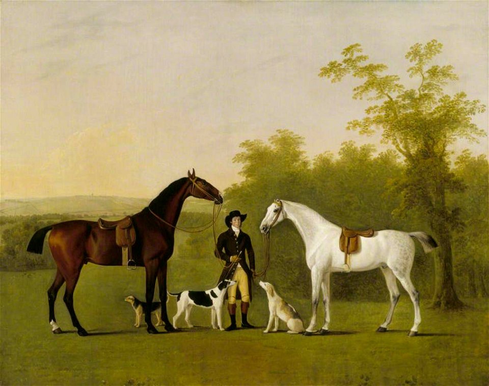 John Boultbee (1753-1812) - Two Hunters, 'Prophet' and 'Surprise' - 138302 - National Trust