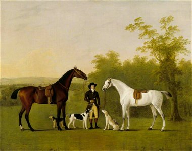 John Boultbee (1753-1812) - Two Hunters, 'Prophet' and 'Surprise' - 138302 - National Trust