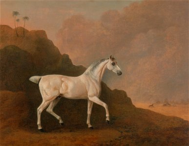 John Boultbee - A Grey Arab Stallion in a Desert Landscape - Google Art Project. Free illustration for personal and commercial use.