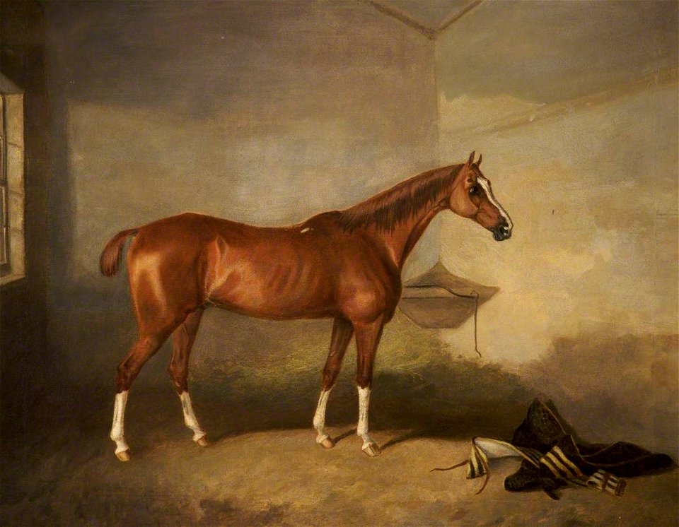 John Boultbee (1753-1812) - A Chestnut Horse in a Stable - 500008 - National Trust