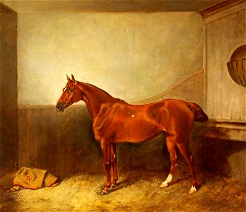 John Alfred Wheeler (1821-1903) - A Chestnut Hunter with a White Blaze in His Stable - 453813 - National Trust