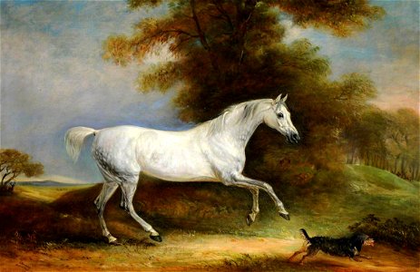 John E. Ferneley I (1782-1860) - A Dappled Grey Hunter Called 'Spangle' and a Terrier Called 'Reveller' - 290273 - National Trust