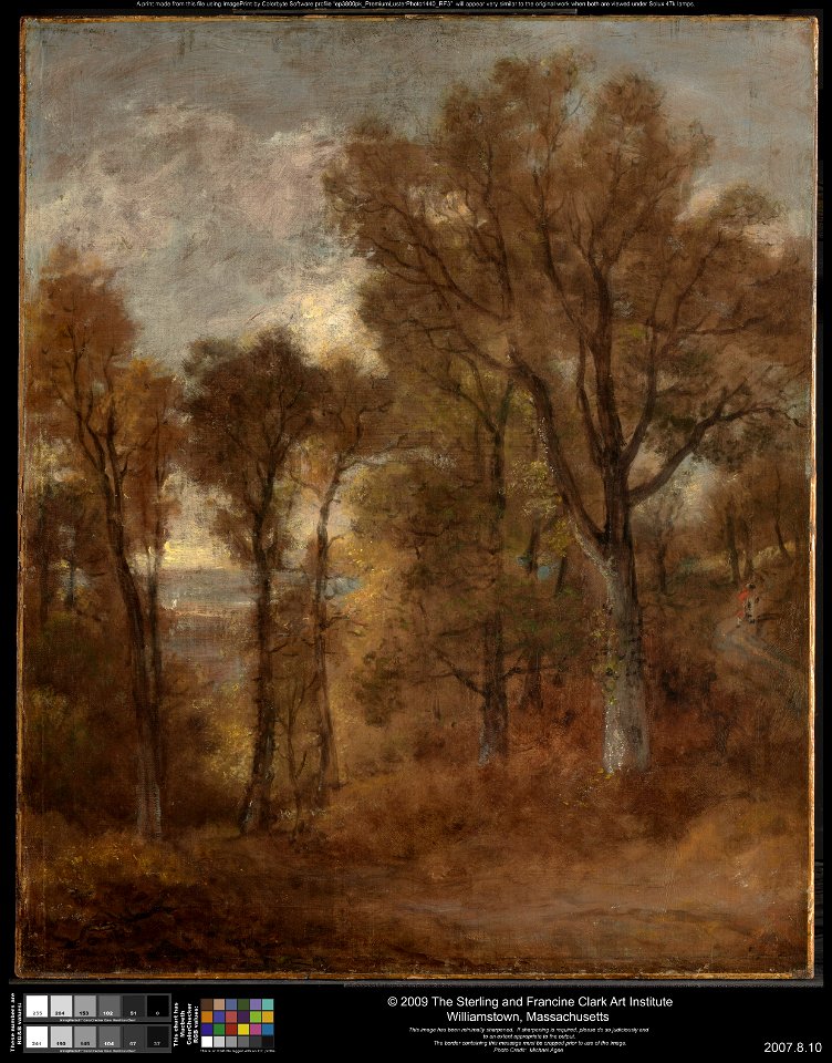 John Constable - Woodland Scene Overlooking Dedham Vale - 2007.8.10 - Clark Art Institute