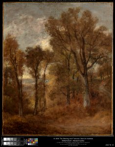 John Constable - Woodland Scene Overlooking Dedham Vale - 2007.8.10 - Clark Art Institute