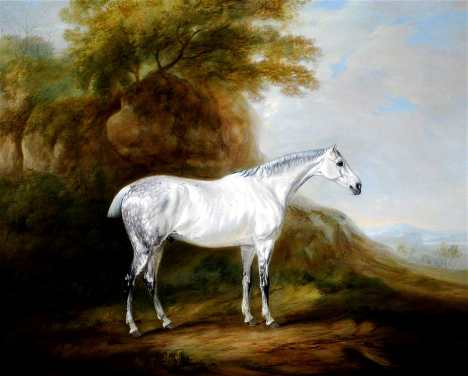 John Ferneley II (1814-1862) - A Grey Hunter - 980560 - National Trust