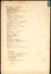 John Cotton's Notebook - file 46 - page 99