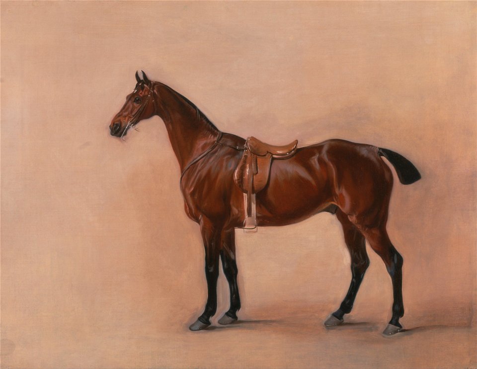 John Ferneley - Study of a Saddled Bay Hunter - Google Art Project