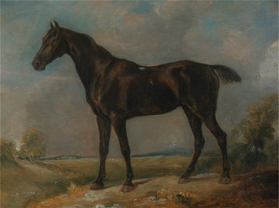 John Constable - Golding Constable's Black Riding-Horse - Google Art Project