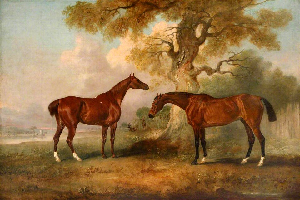 John Ferneley II (1814-1862) - Chestnut Racehorses Called 'Rufus' and 'Leporello' - 1441521 - National Trust