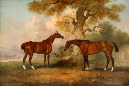 John Ferneley II (1814-1862) - Chestnut Racehorses Called 'Rufus' and 'Leporello' - 1441521 - National Trust