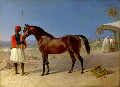 John Frederick Herring the Elder (1795-1865) - Said - RCIN 405266 - Royal Collection