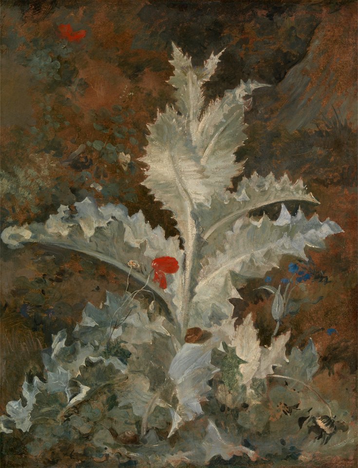 John Crome - A Thistle - Google Art Project