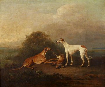 John E. Ferneley I (1782-1860) - Two Greyhounds and a Dead Hare - 515755 - National Trust