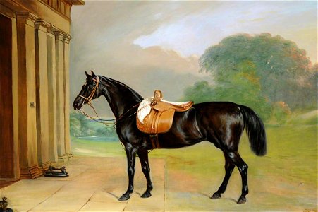 John E. Ferneley I (1782-1860) - A Bay Hunter Called 'Queen Mab' outside Calke Abbey - 290272 - National Trust