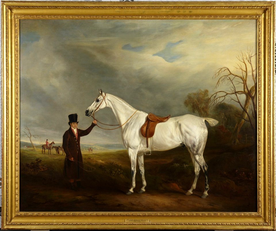John E. Ferneley, Sr. - Lord Howe's Groom with Gray Hunter - y1979-72 - Princeton University Art Museum