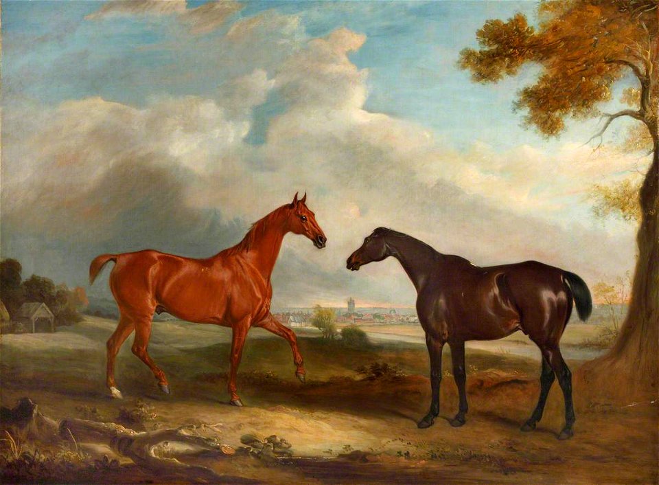 John Ferneley II (1814-1862) - Two Racehorses, Called 'Cock Robin' and 'Langar' - 1441456 - National Trust