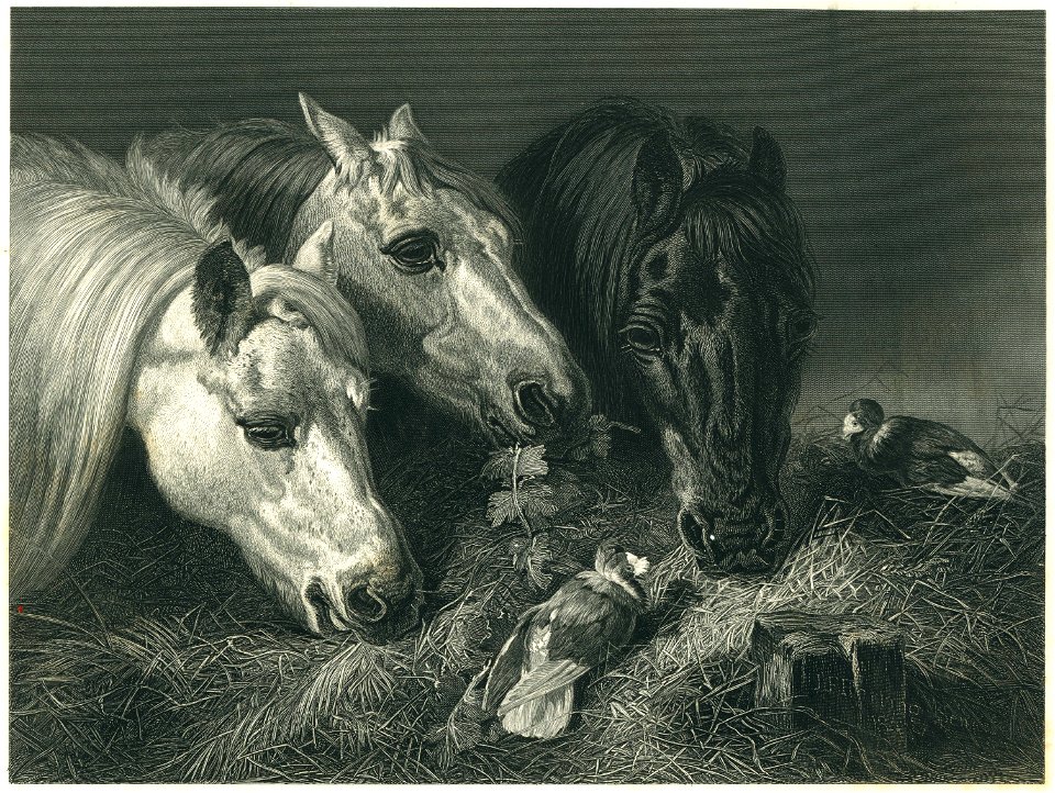 John Frederick Herring, Sr. - Le Maigre Repas - Steel Engraving