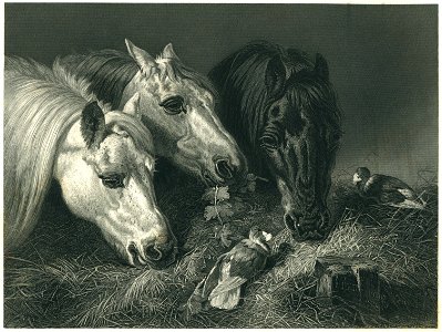John Frederick Herring, Sr. - Le Maigre Repas - Steel Engraving