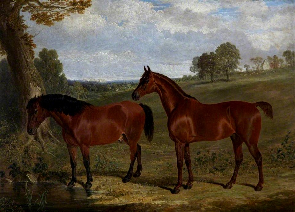 John Frederick Herring I (1795-1865) - A Bay Horse and a Pony in a Landscape - 337062 - National Trust
