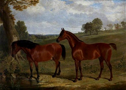 John Frederick Herring I (1795-1865) - A Bay Horse and a Pony in a Landscape - 337062 - National Trust
