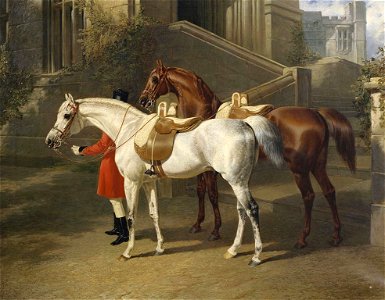 John Frederick Herring the Elder (1795-1865) - Tajar and Hammon - RCIN 401368 - Royal Collection