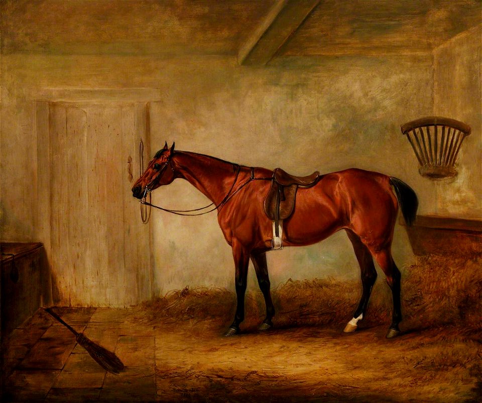 John Ferneley II (1814-1862) - A Chestnut Racehorse Called 'Undine' - 1441489 - National Trust