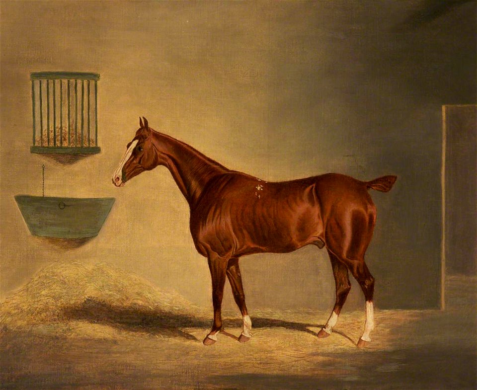 John Frederick Herring I (1795-1865) - A Chestnut Horse in a Stable - 500007 - National Trust