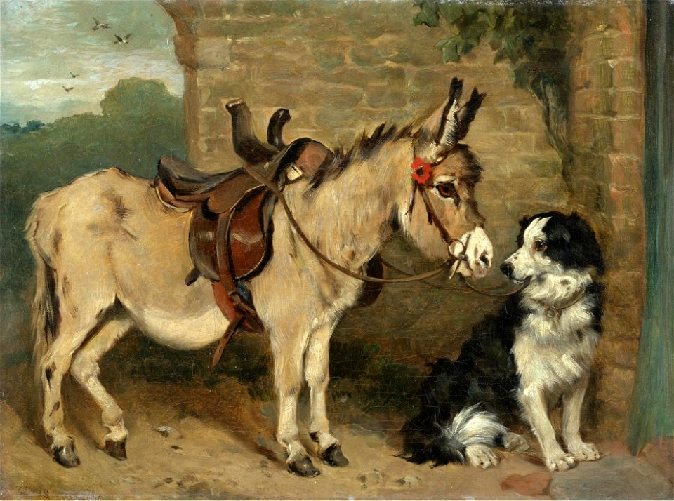 John Emms - Ready for the morning ride