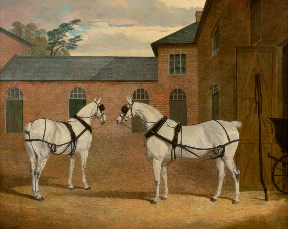 John Frederick Herring - Grey carriage horses in the coachyard at Putteridge Bury, Hertfordshire - Google Art Project