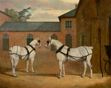 John Frederick Herring - Grey carriage horses in the coachyard at Putteridge Bury, Hertfordshire - Google Art Project. Free illustration for personal and commercial use.
