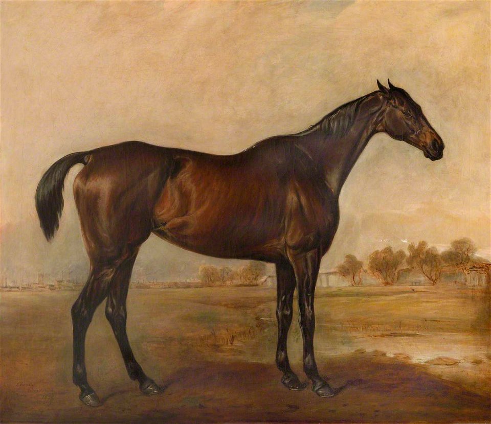 John Ferneley II (1814-1862) - A Bay Racehorse Called 'Nightmare' - 1441488 - National Trust
