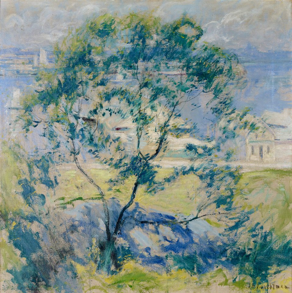 John Henry Twachtman - The Wild Cherry Tree - 1916-1 - Albright–Knox Art Gallery