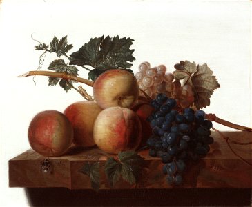 John Johnston - Still Life - 218-1966 - Saint Louis Art Museum