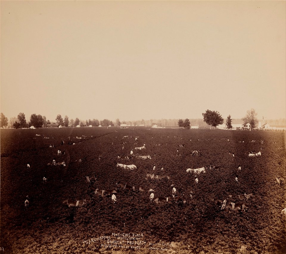John Horgan, Jr. - Mathew's Place, Lobdel Station, Jas. S. Richardson's Property, Bolivar Co., Miss., Mississippi Valle... - Google Art Project