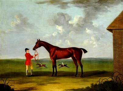 John Nost Sartorius (1759-1828) - A Bay Horse Called 'Fleacatcher' - 290260 - National Trust