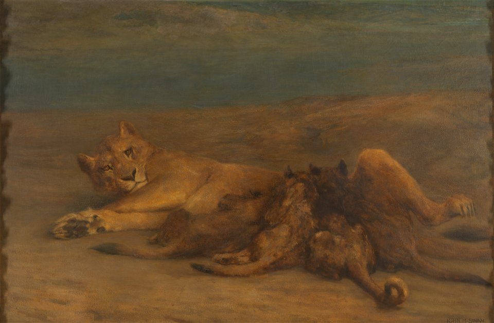 John Macallan Swan - Een leeuwin met vier zogende welpen, genaamd 'Moederliefde' - SK-C-798 - Rijksmuseum