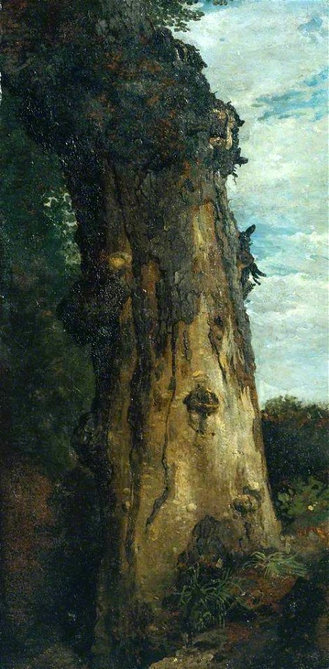 John Linnell (1792-1882) - Study of a Tree ('Study from Nature') - T01490 - Tate