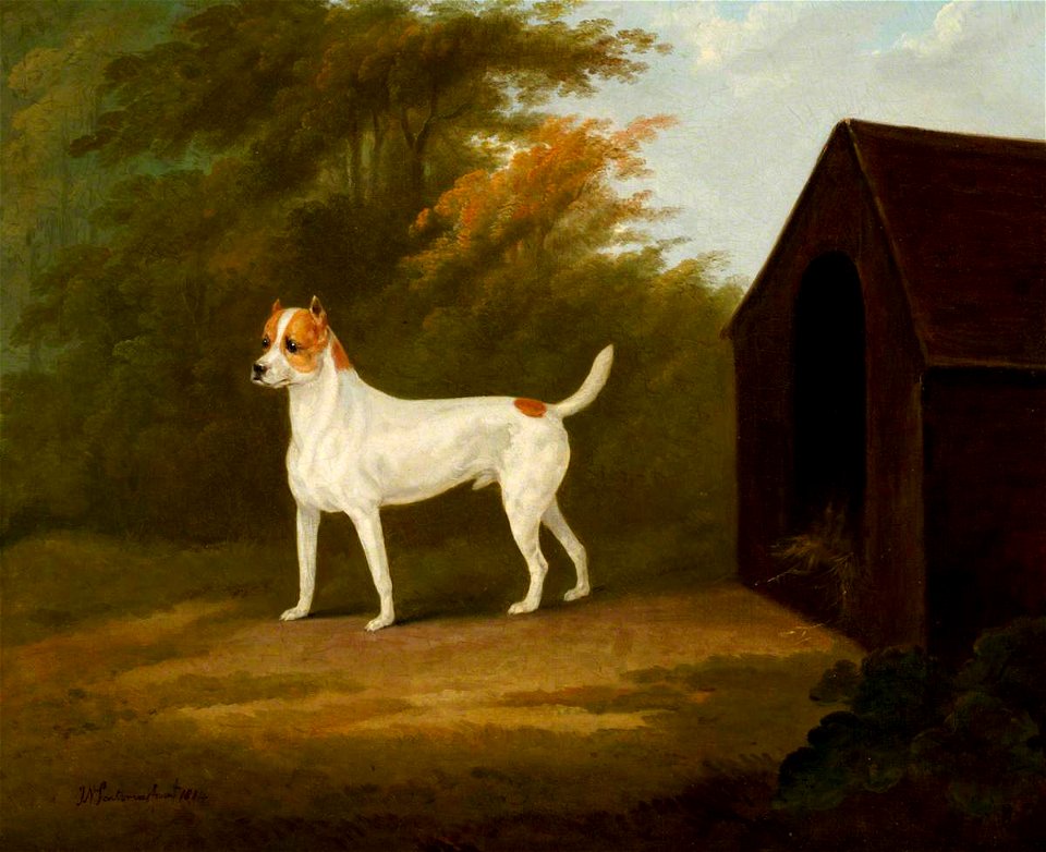 John Nost Sartorius (1759-1828) - An Old English Terrier - 1449092.1 - National Trust