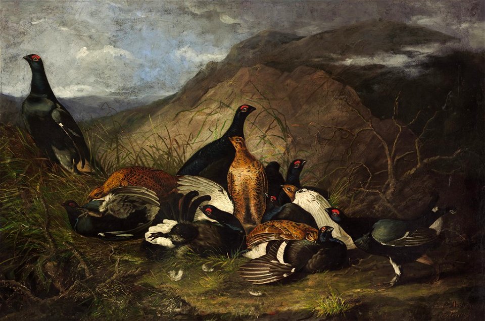 John James Audubon - Black Cocks - 1964.147 - Fogg Museum