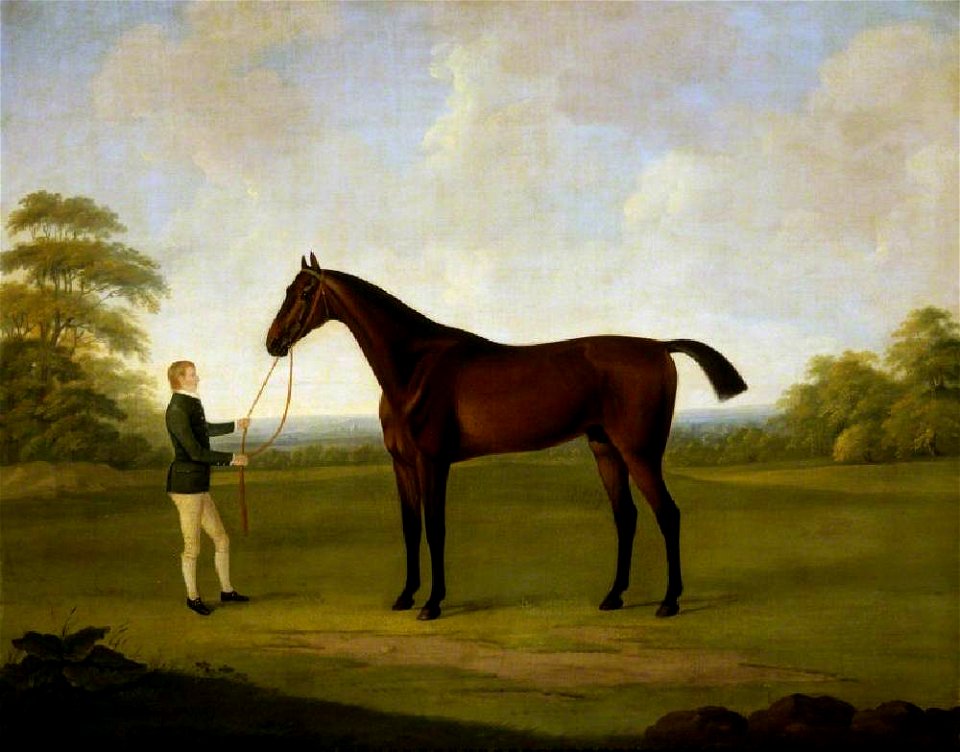 John Nost Sartorius (1759-1828) - 'Saltram' with a Stable Lad - 872232 - National Trust