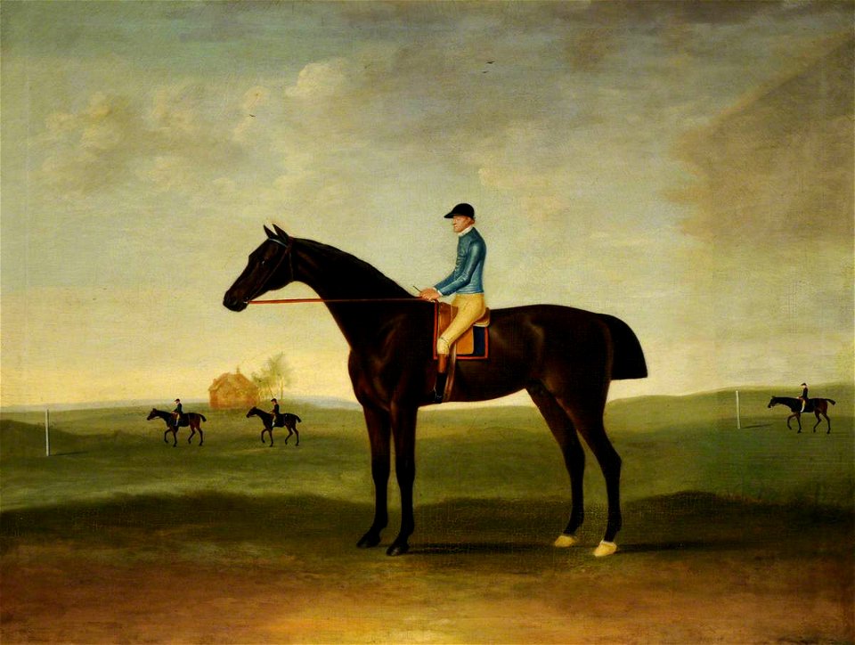 John Nost Sartorius (1759-1828) - 'Trentham', a Bay Racehorse - 290354 - National Trust