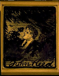 John Reed - Art Young. LCCN97518243