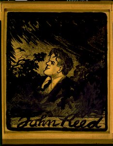 John Reed - Art Young. LCCN97518243